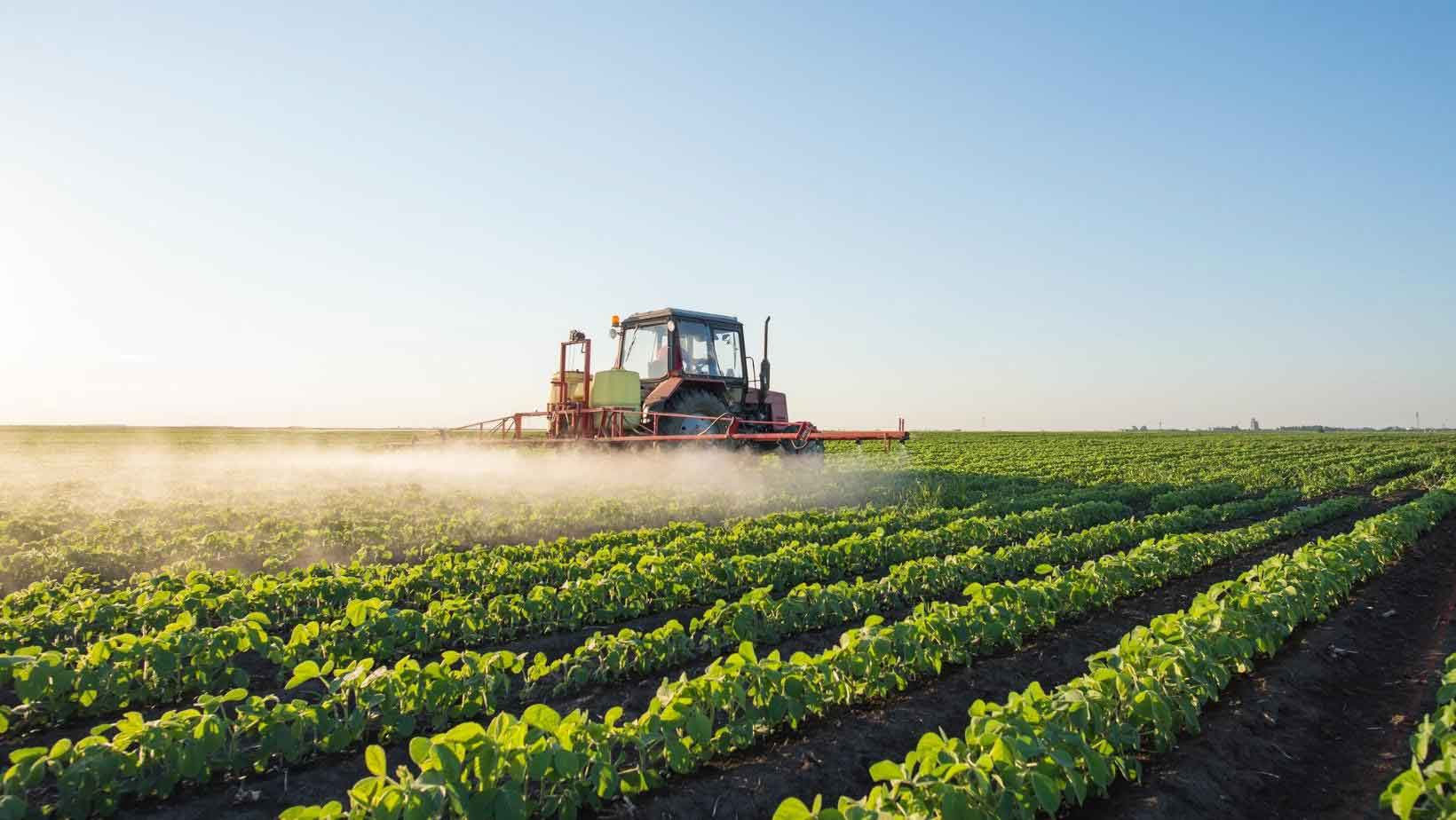 DINAMICA FP Rinnovo e rilascio del patentino fitosanitario